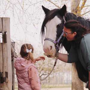 Begeleiding met paarden, kennismaking, wie ben jij