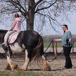 Begeleiding met paarden, longeren