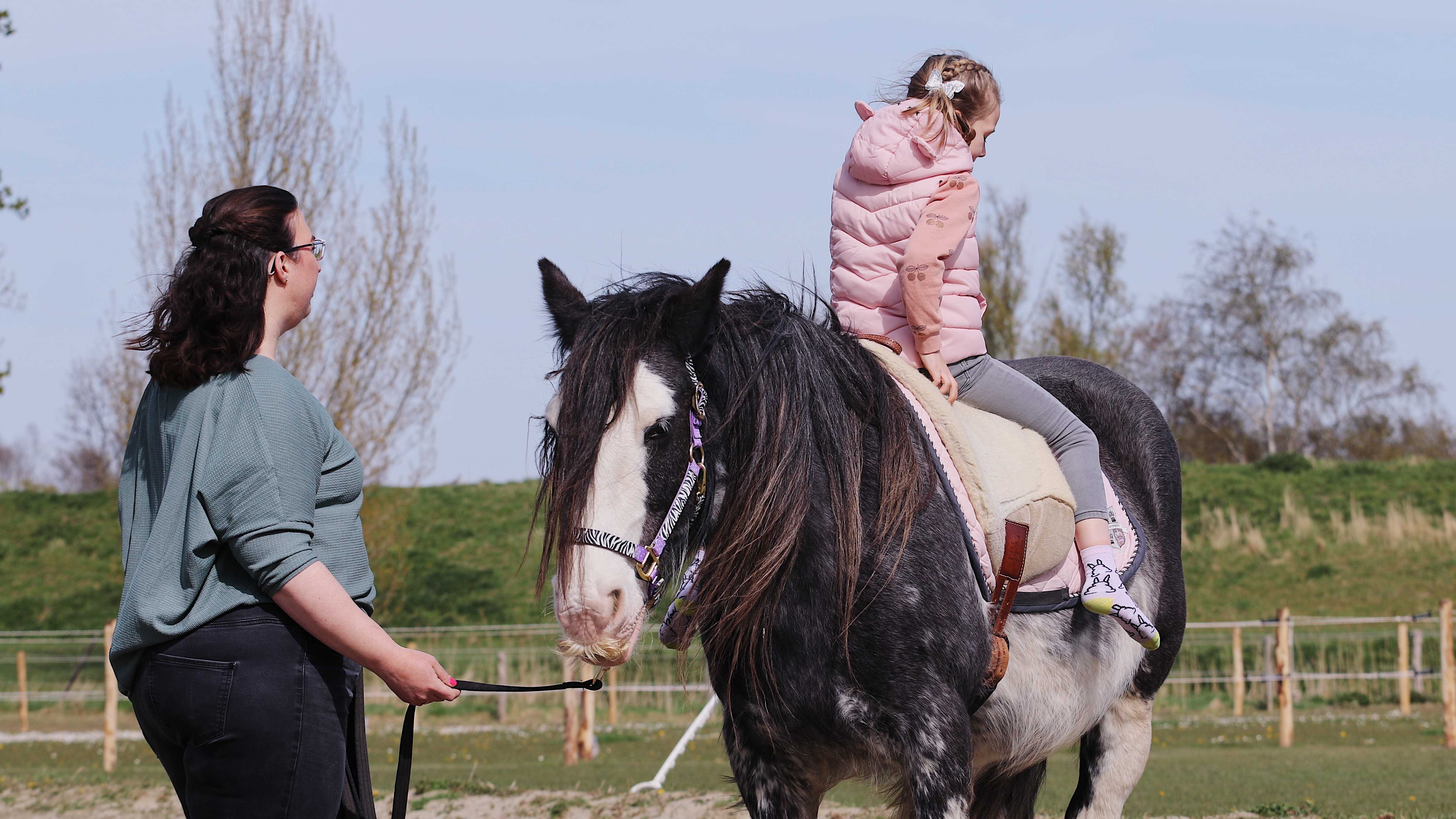 Paardencoaching, inzet van paarden, leren met paarden, voltige