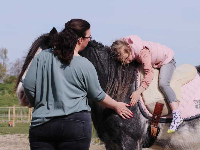 Paardencoaching, verbinding, leren met paarden, regulatie