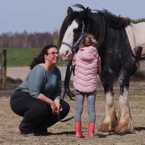 Paardencoach aan het werk, aansluiten bij kind, communicatie, verwijzing