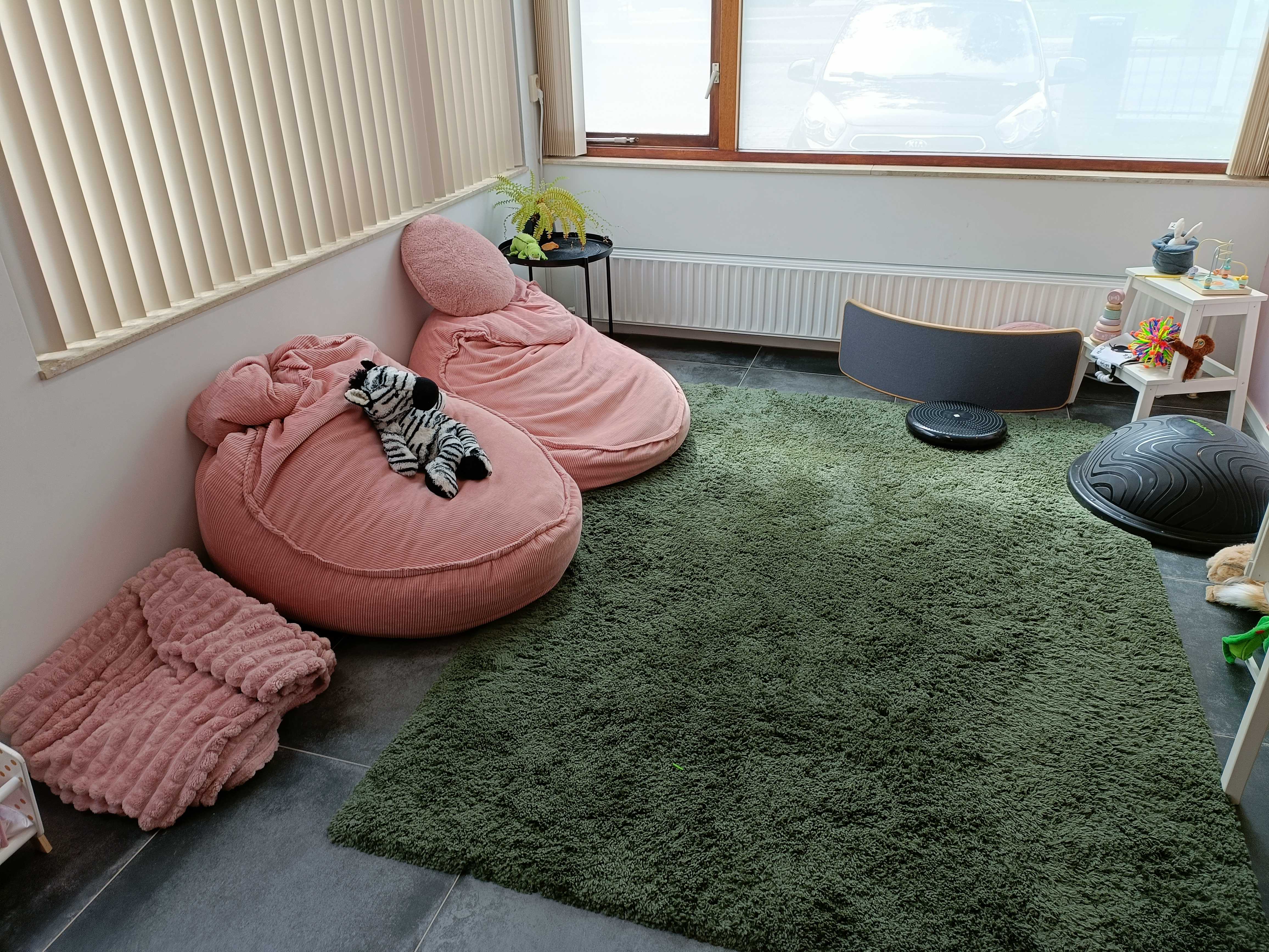 Begeleiding Baby en Peuter